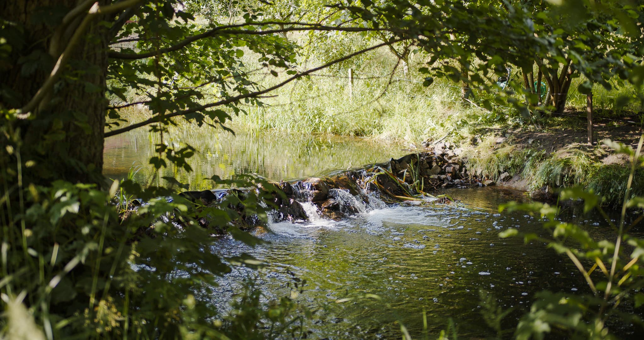 glampingImage41