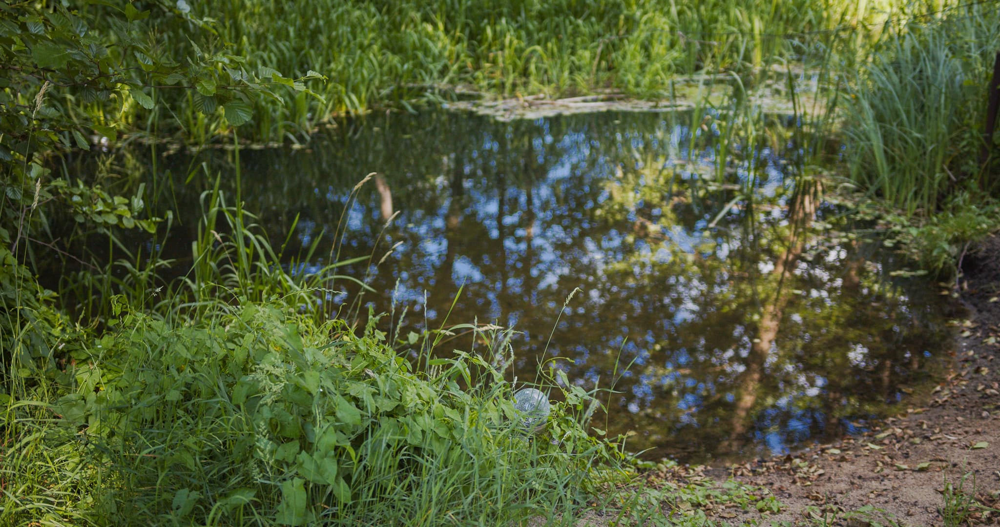glampingImage42